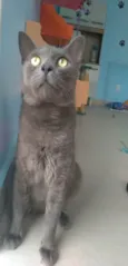 Tito