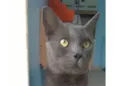 Tito