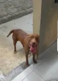 Mel