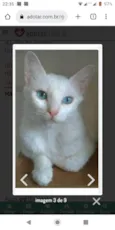 Maitê