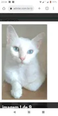 Maitê