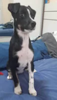 Nina