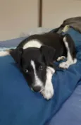 Nina