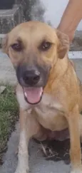 Sophia