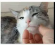 PENÉLOPE 