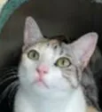 PENÉLOPE