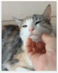 PENÉLOPE