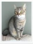 NALA