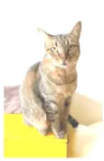 NALA