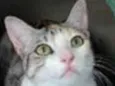 PENÉLOPE