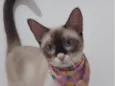 Mag