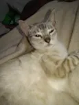 Sabrina