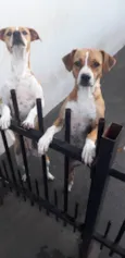 Laila e Kiara
