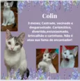 Colin