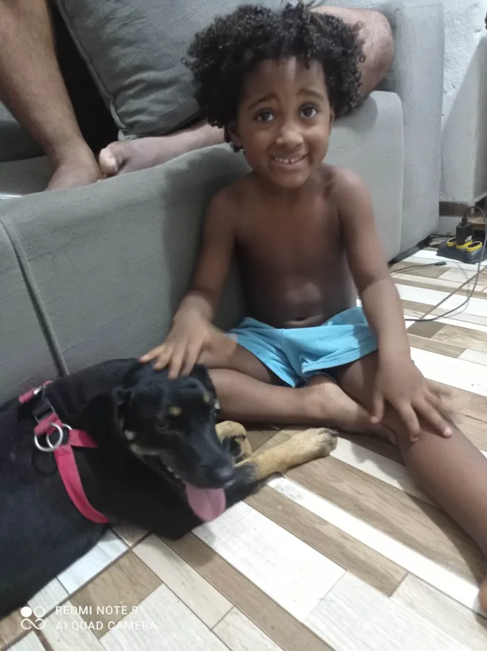 Cachorro ra a SRD-ViraLata idade 3 anos nome Nina