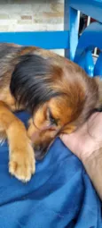 Mel