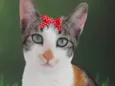 Nina 