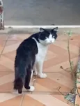Bebê 