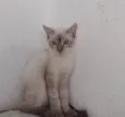FREDERICO