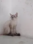 FREDERICO