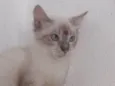 FREDERICO