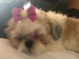 Mel