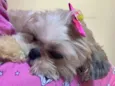 Mel