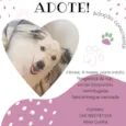 Aletheia