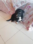 Chara Maria