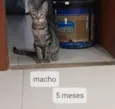 Não tem nomekkk