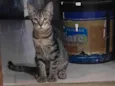 Não tem nomekkk