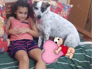 Cachorro raça SRD-ViraLata idade 1 ano nome FLOCO 
