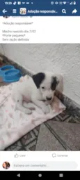 Marshal