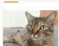 JULLY
