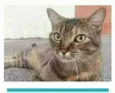 JULLY