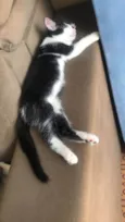 Mel