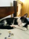 Mel