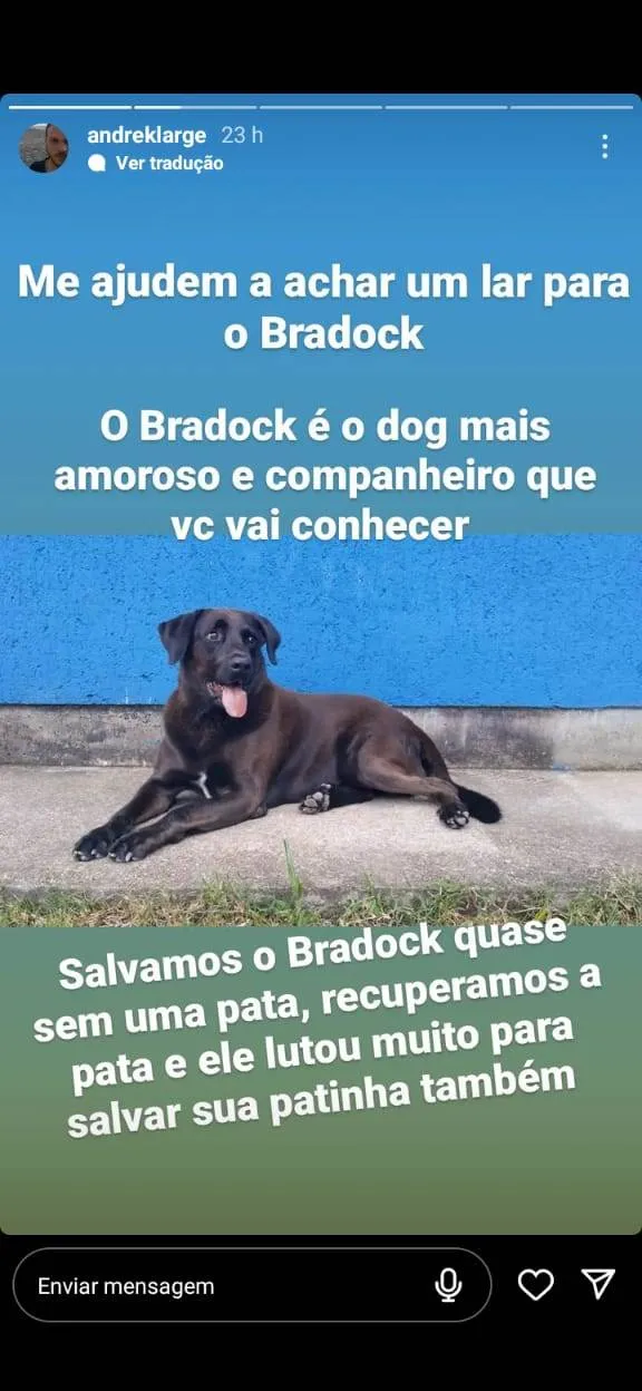 Cachorro ra a SRD-ViraLata idade 4 anos nome Bradok
