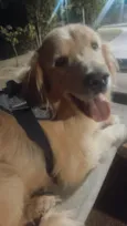 Balú