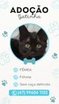 Não tem nome ainda