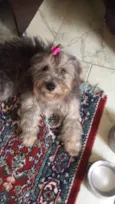 Nina