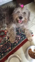Nina