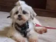 Jully