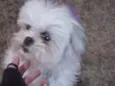 Jully