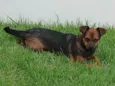 Bella