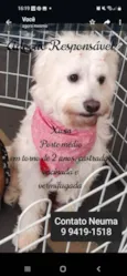 XUXA