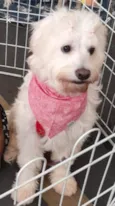 XUXA