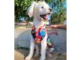 XUXA