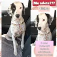 Vitória 