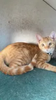 SOL